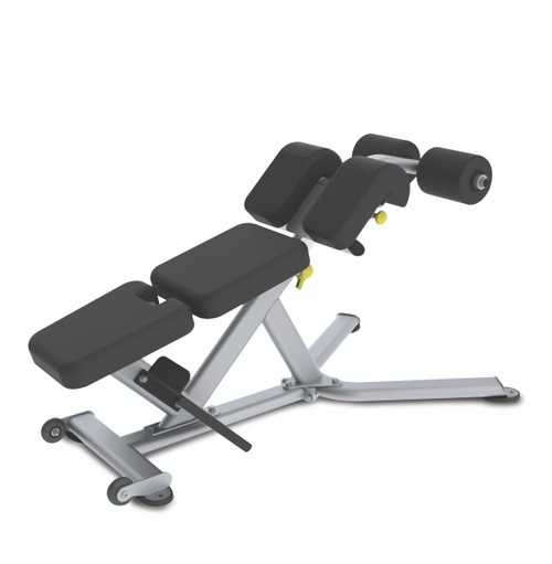 True Fitness Low Back / Abdominal Bench